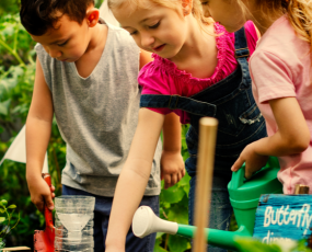 Children-Outdoor-Education