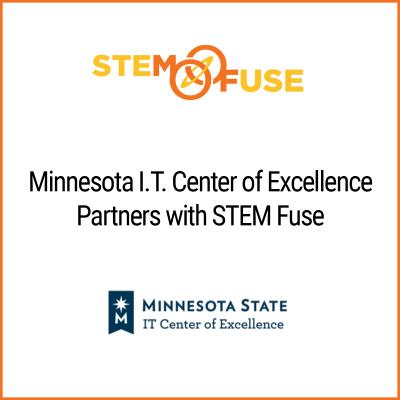 MN IT Center Excellence
